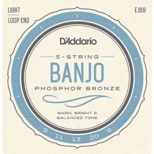 D_Addario EJ69 Phosphor Bronze 5-String Banjo Strings, Light
