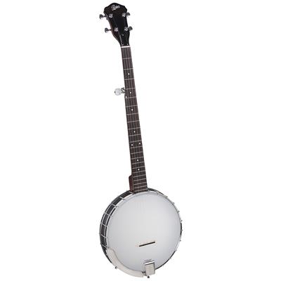 Rover RB-20 Open Back 5 String Banjo Review (2024) Rover RB-20 Open Back 5 String Banjo