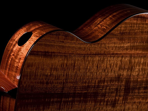 Guide To Guitar Tonewood guitar tonewood guide