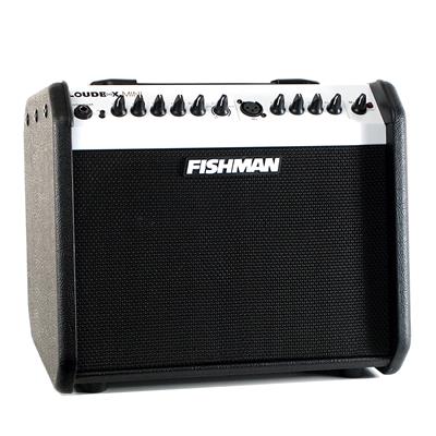 Fishman Loudbox Mini Acoustic Instrument Amplifier