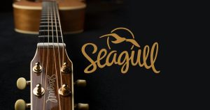Seagull Acoustic Guitar