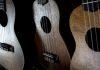 What is The Best Ukulele for Beginners? Best Type of Ukulele
