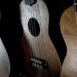 What is The Best Ukulele for Beginners? Best Type of Ukulele