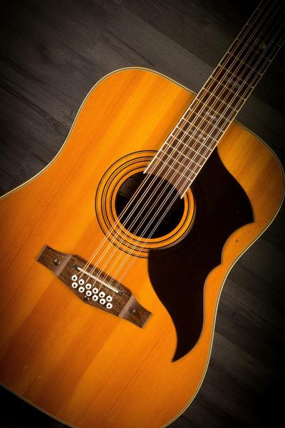 12 String Acoustic Guitar Body