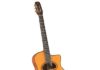 Gitane DG-320 Gypsy Jazz Guitar Review (2024) Gitane DG-320 Professional Gypsy Jazz Guitar