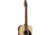 Seagull Coastline S6 Spruce Review (2024) Seagull Coastline S6 Spruce Guitar