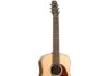 Seagull Maritime SWS SG Guitar Review (2024) Seagull Maritime SWS SG Guitar