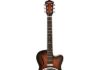 Washburn R15RCE Resonator Review (2024) Washburn R15RCE Resonator